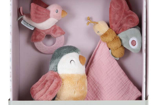 Set dárkový Květiny a motýli